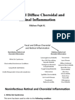 FIQ - Focal and Diffuse Choroidal and Retinal Inflammation