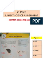 Class-2 Subject-Science Assignment: Chapter-Bones and Muscles