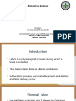 Abnormal Labour: Perceptor: Dr. Nurul Islamy, M. Kes., Sp. OG