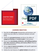 Organizational Behaviour Chapter 3