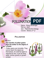 Pollination: Name: Sheryl Bhatnagar Roll No: 2047 Sub: Reproductive Biology Course: Botany 2 Yr