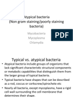 Atypical Bacteria