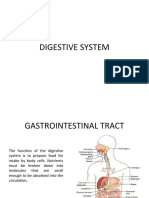 Digestive