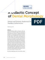 A Didactic Concept Of: Dental Morphology
