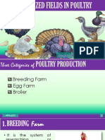 Specialized Fields in Poultry - 20 PDF