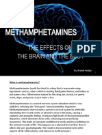 Methamphetamines: The Effects On The Brain and The Body