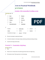 Suggested Answers To Practical Workbook: CH 7 Gas Exchange in Humans