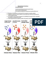 Molecular Basis-WPS Office