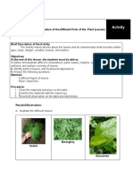 Organoleptic Evaluation (Leaves)