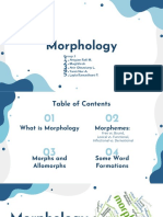 A Morphology Group 3