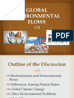 Global Environmental Flows