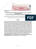 ENHANCED DEGRADATION OF CRUDE OIL WITH Alcaligenes Faecalis ADY25 AND IRON OXIDE NANOPARTICLE