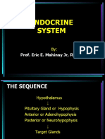 Endocrine System: Prof. Eric E. Mahinay JR, RN, MSN