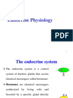 Endocrine Physiology