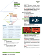 Inflammatory Bowel Disease: Microorganisms That Drive Disease