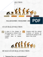 Cultural Evolution: Palaeolithic - Neolithic - Metal Ages