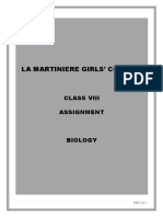 Chapter 2 A. Transport of Food and Minerals in Animals - SA