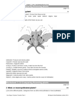 Worksheet 1.1.9 Comparing Flowering Plants: 1 Parts of The Flowering Plant