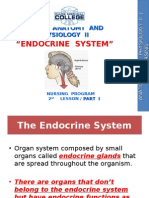 "Endocrine System": Human Anatomy and Physiology Ii