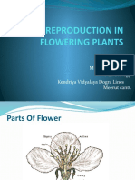 Sexual Reproduction in Flowering Plants