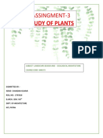 Assingment-3 Study of Plants: Subject-Landscape Design and Ecological Architecture Course Code - 8ar173