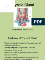 Thyroid Gland: Prepared by Yousaf Khan