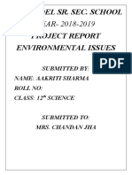 Environmental Issues Project