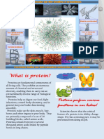 Proteomics Full Lectures