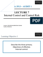 Lecture 7 - Internal Control and Control Risk