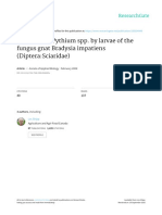 Ingestion of Pythium Spp. by Larvae of The Fungus Gnat Bradysia Impatiens (Diptera:Sciaridae)