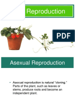 Plant Reproduction