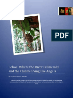 Loboc Case Study On Eco Tourism Governan