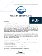 Poly-Bi Technical Report - v1