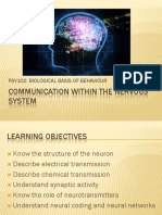 Communication Within The Nervous System