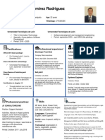 CV Oscar Ramirez English