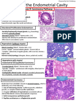 Endometrial Tumors