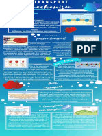 Transport Mechanism Infographics