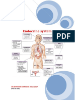 Endocrine System: DR - Entissar Mansour 2O16-2017