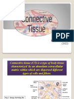 03 Connective Tissue