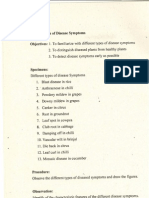 Pathology Practical Manual