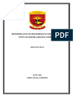 Medanit Sisay Tesfaye PDF Th...