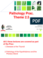 Prac Theme 2.5