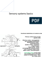 Lesson1 Intro Sensory Systems