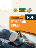 Ethiopia Informational Flyers Final