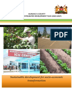 Muranga County Cidp 1