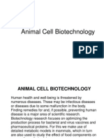 Animal Cell Cultures