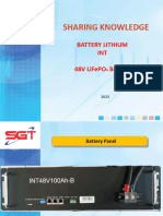 Data Sheet Battery Wolong