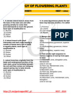 Gold DPP of Morphology of Flowering Plants by Garima Mam