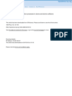 Dynamics of Electron Correlation Processes in Atoms and Atomic Collisions 1990