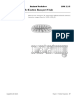 The Electron Transport Chain